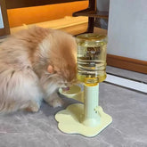 Pet Water Bowl