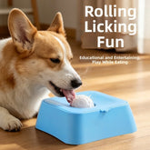 Dog Licking Bowl
