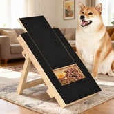 Dog Nail Scratching Board