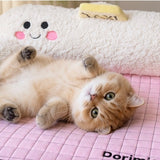 Cozy Taxi Pet Sofa