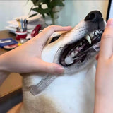 Pet Teeth Cleaning Set
