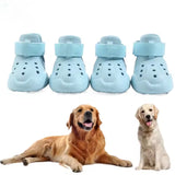 New Dog Shoes