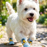 New Breathable Dog Shoes