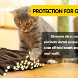 Oitabi 250g Natural Matatabi Snacks Sticks for Cats, Silvervine Chew Sticks for Clean Teeth - Catnip Alternative 120mmx3-6mm