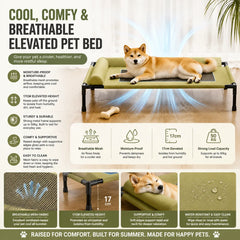 Pet Bed Pro