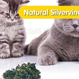 Oitabi 1950g Silvervine Leaves, Cat Chew Snacks, Matatabi leaves for Indoor Cats, Kitten Teething Interactive Toys for Cats