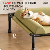 Elevated Summer Dog Bed