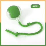 Rechargeable Automatic Rolling Ball Cat Toy – Fake Tail, Imitate Mouse, Electric Interactive for Cats & Dogs
