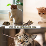 Oitabi 250g Natural Matatabi Snacks Sticks for Cats, Silvervine Chew Sticks for Clean Teeth - Catnip Alternative 120mmx3-6mm