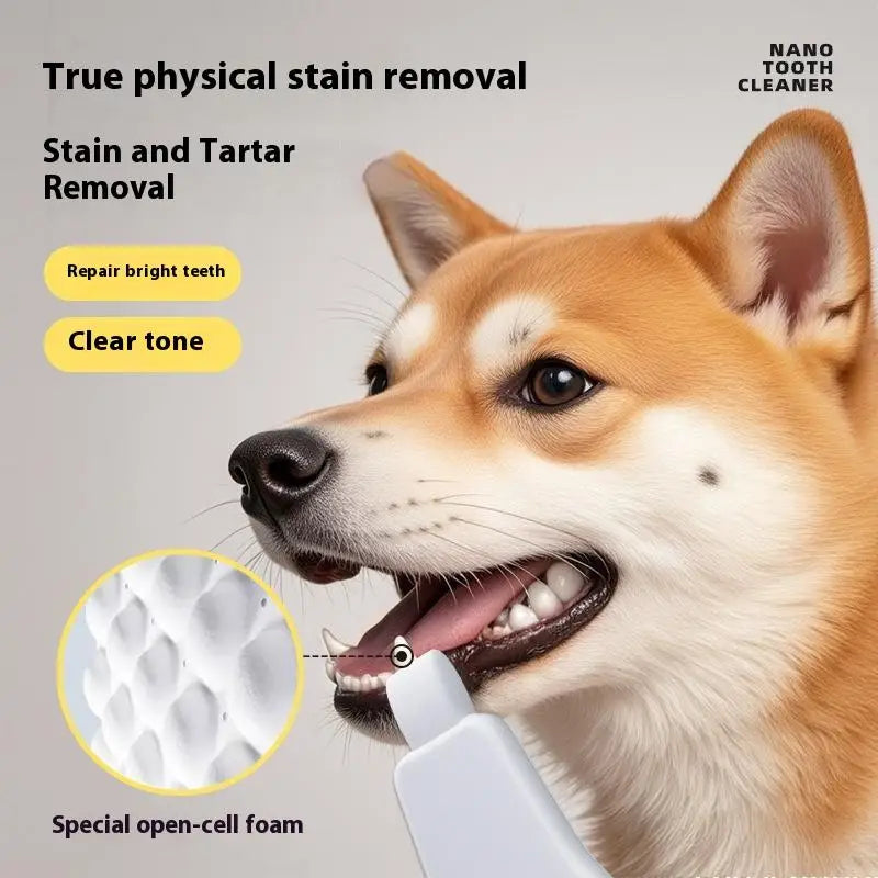 3/6Pcs Pet Nano Toothbrush