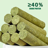 Cat Grass Sticks Grass