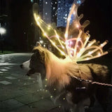 Dog Butterfly Wings