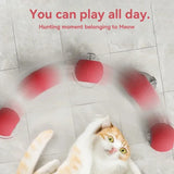 Rechargeable Automatic Rolling Ball Cat Toy – Fake Tail, Imitate Mouse, Electric Interactive for Cats & Dogs