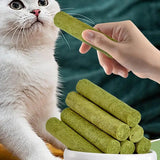 Cat Grass Sticks Grass