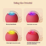 Rechargeable Automatic Rolling Ball Cat Toy – Fake Tail, Imitate Mouse, Electric Interactive for Cats & Dogs