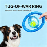Indestructible Flying Dog Disc
