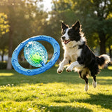 Indestructible Flying Dog Disc