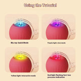 Rechargeable Automatic Rolling Ball Cat Toy – Fake Tail, Imitate Mouse, Electric Interactive for Cats & Dogs