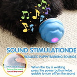 Bite-Resistant Pet Ball for Dogs & Cats