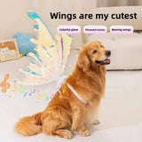 Dog Butterfly Wings