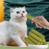 Cat Grass Sticks Grass