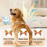 Dog Butterfly Wings