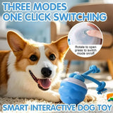 Bite-Resistant Pet Ball for Dogs & Cats