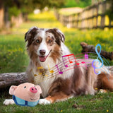 Moving Squeaky Dog Toy