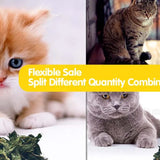 Oitabi 1950g Silvervine Leaves, Cat Chew Snacks, Matatabi leaves for Indoor Cats, Kitten Teething Interactive Toys for Cats
