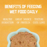 Petfull Cat Canned for Cat and Dog Pet Food 170gx24Cans Tuna Beef Salmon Chicken Flaver Cat Food Cans