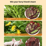 Dried Pig Testicular Slices Dog And Cat Snacks Training Rewards For Cooling Down Freeze Dried Snacks