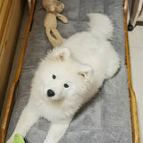 Oversized Plush Dog Cat Bed Sofa Crate Pad Ultra Soft Polyester Pet Mat for All Size Cats Dogs Adorable Rectangle Couch