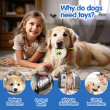 Pet Dog Toy, Rubber Tennis Ball, Prick Ball, Squeaking, Grinding Teeth, Relieving Boredom, Accompanying Various Dogs of All Size