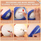 Moving Squeaky Dog Toy