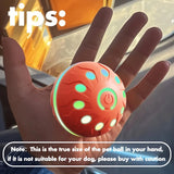 Pet Play Toy Ball, Electric Dog Ball, USB Rechargeable Dog Interactive Toy, Good Companion for Dogs