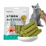 Cat Grass Sticks Grass