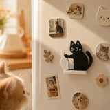 Cat Whisker Collection